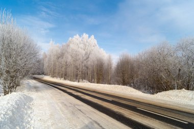 Güneş gününde ahşap kaplı kış manzarası. Arka planda güzel huş ağaçları mavi gökyüzünde