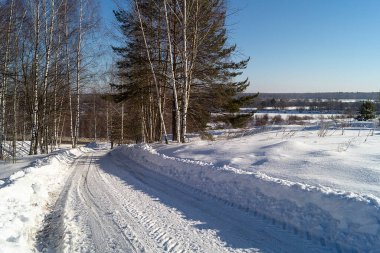 Güneş gününde ahşap kaplı kış manzarası. Arka planda güzel huş ağaçları mavi gökyüzünde