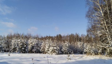 Arkaplanda ahşap gökyüzü ve bulutlu kış manzarası. Rusya 'da güneş gününde güzel doğa