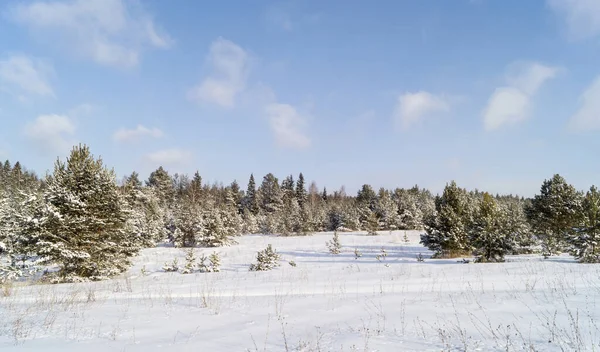 Зимний Пейзаж Лесом Фоне Неба Облаком Красивая Природа Солнечный День — стоковое фото