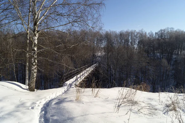 Die Landschaft Mit Der Brücke Durch Die Schlucht Wald Natur — Stockfoto