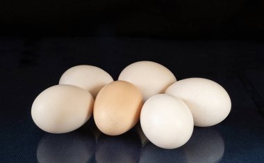 Tavuk yumurtası cam masaya yansıyarak dinlenecek. Beslenmenin siyah arka plandaki ürünleri