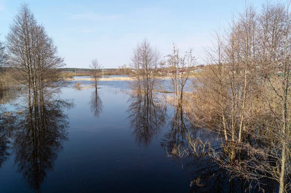 Высокая Вода Весной Сельской Местности Солнечный День Красивый Пейзаж Рекой — стоковое фото