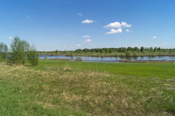 Paesaggio Primaverile Con Fiume Campagna Sfondo Naturale Una Giornata Sole — Foto Stock