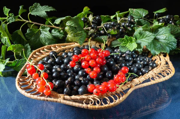 Red Currants Basket Table Food Products Black Background — Stock Photo, Image