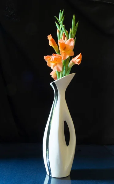桌上花瓶里的红色角斗士带着倒影 黑色背景上的春花 — 图库照片
