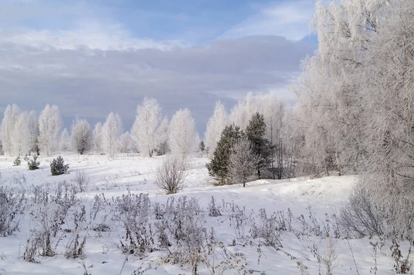 Rural Landscape Winter Length Time Background Blue Sky Cloud Natural — Stock Photo, Image