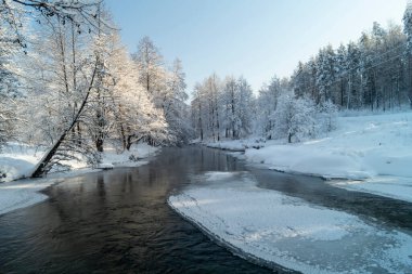 Landscape with a river in a winter forest in Russia. Beauty in nature on a sunny day