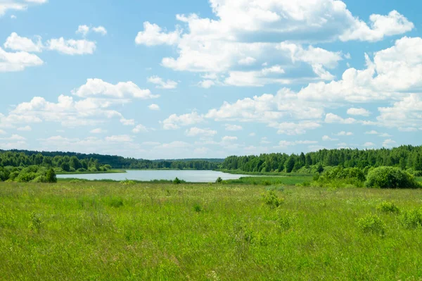 春には田舎の湖と風景 雲のある青空を背景に自然の美しさ — ストック写真