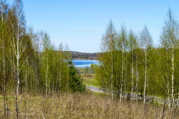 Весенний пейзаж на фоне голубого неба — стоковое фото