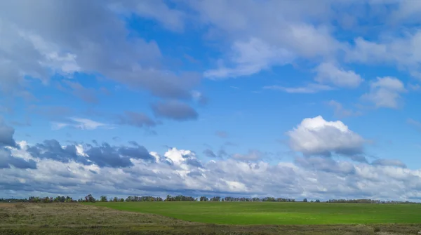 青い空のある風景し、緑ハーブと床 — ストック写真