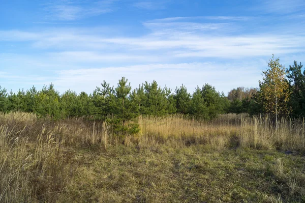 Landsbygdens landskap på bakgrunden blå sky — Stockfoto