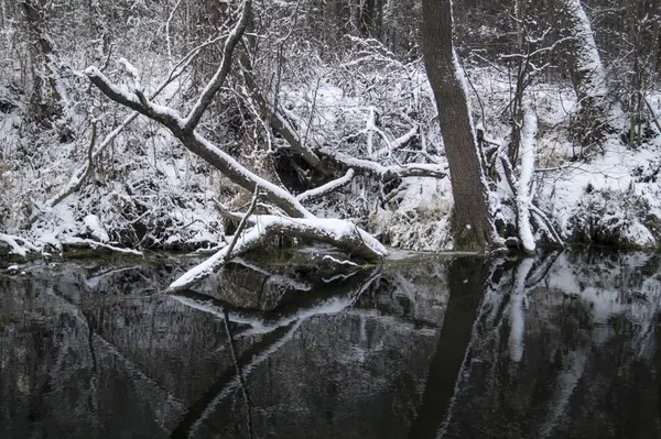 Paisaje con río en madera de invierno — Foto de Stock