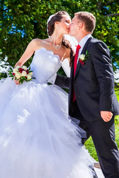 Mooie bruid met de bruidegom — Stockfoto