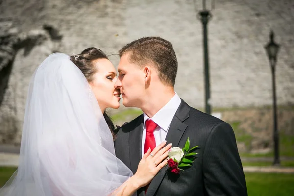 Schöne Braut mit Bräutigam — Stockfoto