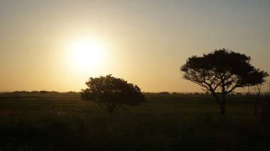 Güney Afrika 'da alacakaranlık