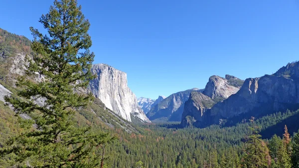 W Parku Narodowym Yosemite w Kalifornii — Zdjęcie stockowe