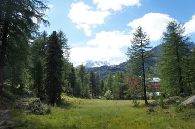 South Tyrol Martell vadisinde hiking