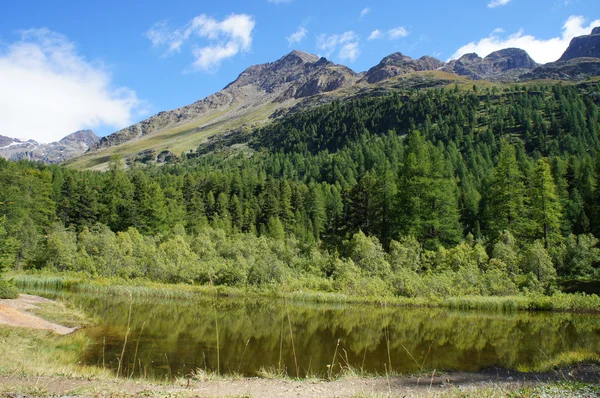 Malé jezero ve vysokých horách — Stock fotografie