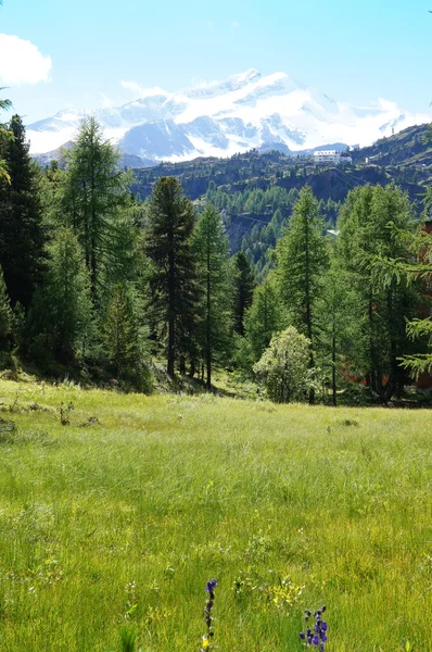 Wandern im Hochgebirge — Stockfoto