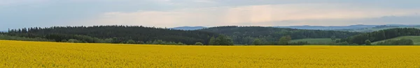 Panorama na primavera — Fotografia de Stock