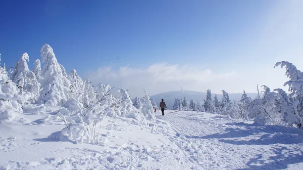 Pěší turistika na na Fichtelberg v zimě — Stock fotografie