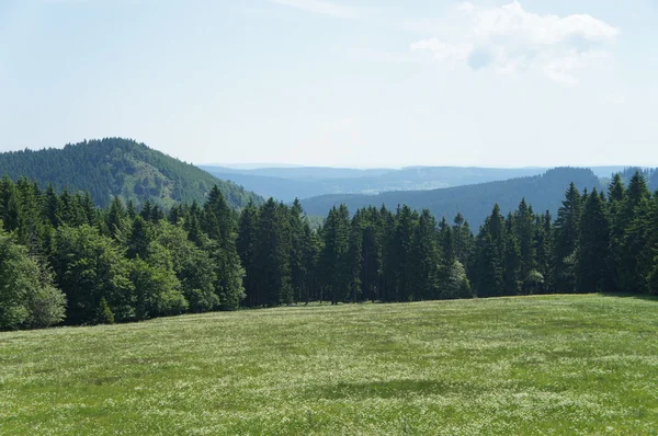 En el Rennsteig en el bosque de Turingia —  Fotos de Stock