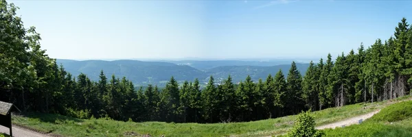 Le Rennsteig dans la forêt de Thuringe — Photo