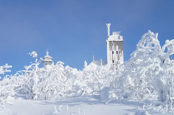 Winterwunderland — Stockfoto