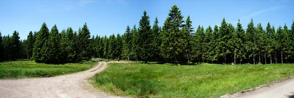 Gaffel i vägen — Stockfoto