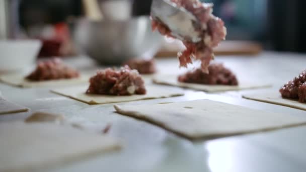 Close-up Chef Hand Cooking Fleisch Snack Food in der modernen Home Cuisine Hinzufügen von Fleisch 4k — Stockvideo