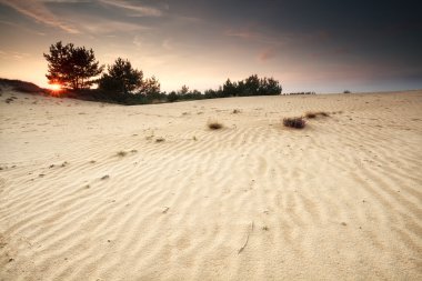 Kumul dokular ile üzerinden günbatımı