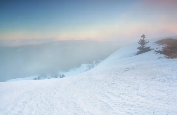 Serene vintern sunrise på toppen Feldberg berget — Stockfoto