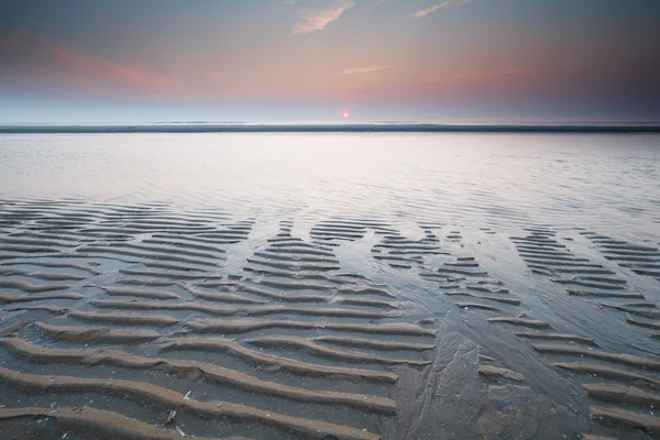 Magnifique coucher de soleil sur la mer du Nord à marée basse — Photo