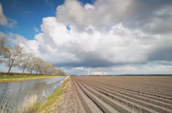 Вспаханное картофельное поле и ветряные мельницы — стоковое фото