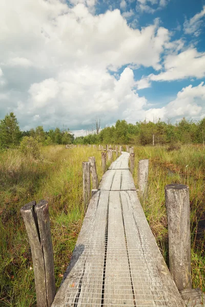 Trä-sökväg på marsh — Stockfoto