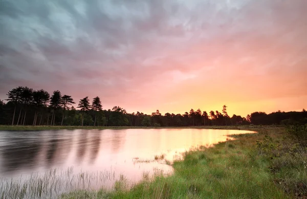 Восход солнца на диком озере — стоковое фото