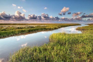 Wadden Denizi kıyısında Moddergat
