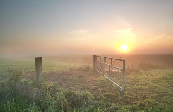 Nebliger Sonnenaufgang auf holländischem Ackerland — Stockfoto