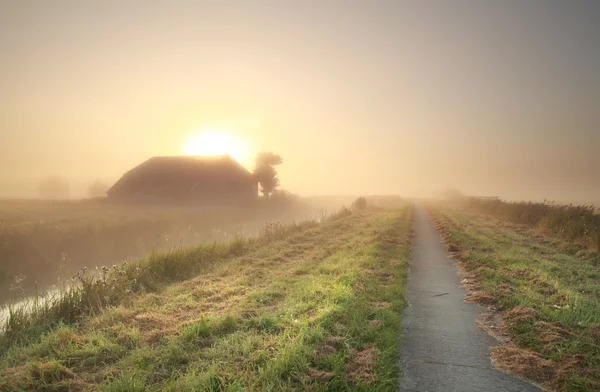 Landbouwgrond in het mistige sunrise — Stockfoto