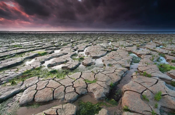 Low tide on Wadden sea at sunset — Stock Photo, Image