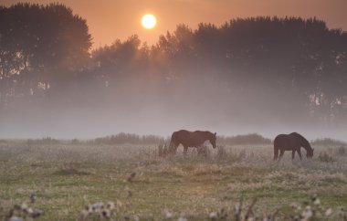 at sunrise, Puslu mera üzerinde