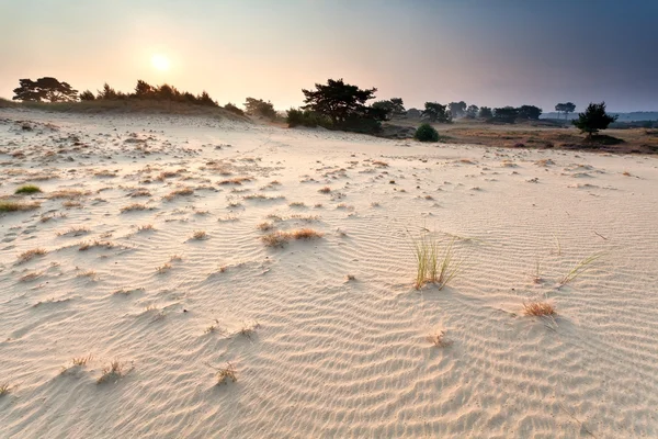 Puesta de sol sobre duna de arena — Foto de Stock