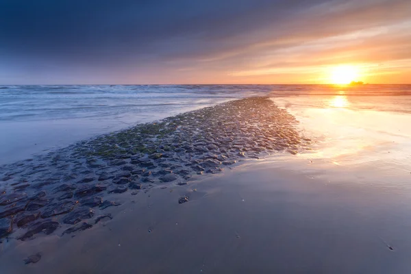 Zonsondergang over Noordzeekust in Nederland — Stockfoto