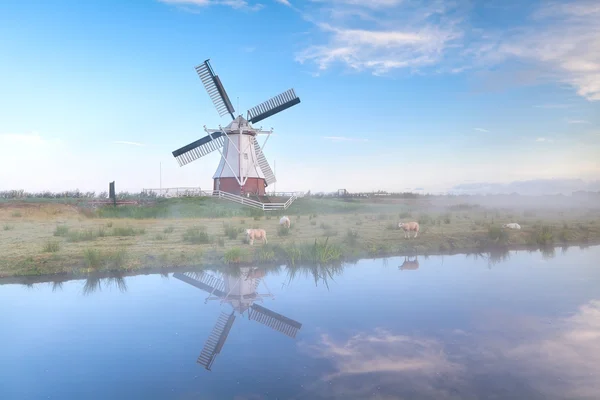 Holländische Windmühle am nebligen Morgen — Stockfoto