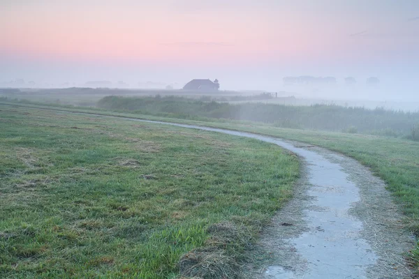Path on farmland during foggy sunrise — Stock Photo, Image