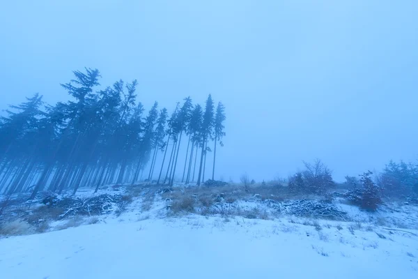 Cupa mattina nebbiosa in montagna — Foto Stock