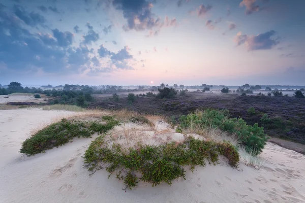 Nebliger Sommersonnenaufgang über Sanddüne — Stockfoto