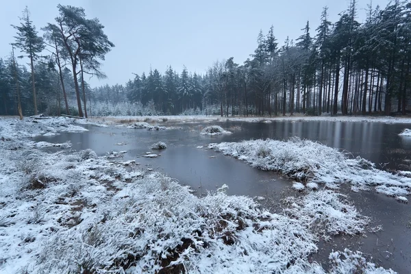 Lago congelado na floresta de inverno — Fotografia de Stock