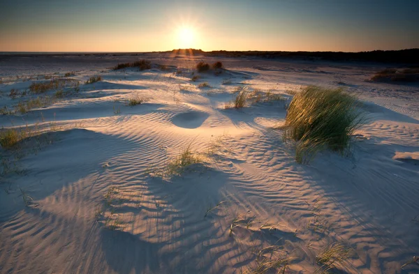 Zonsopgang boven zandduinen op de Noordzeekust — Stockfoto